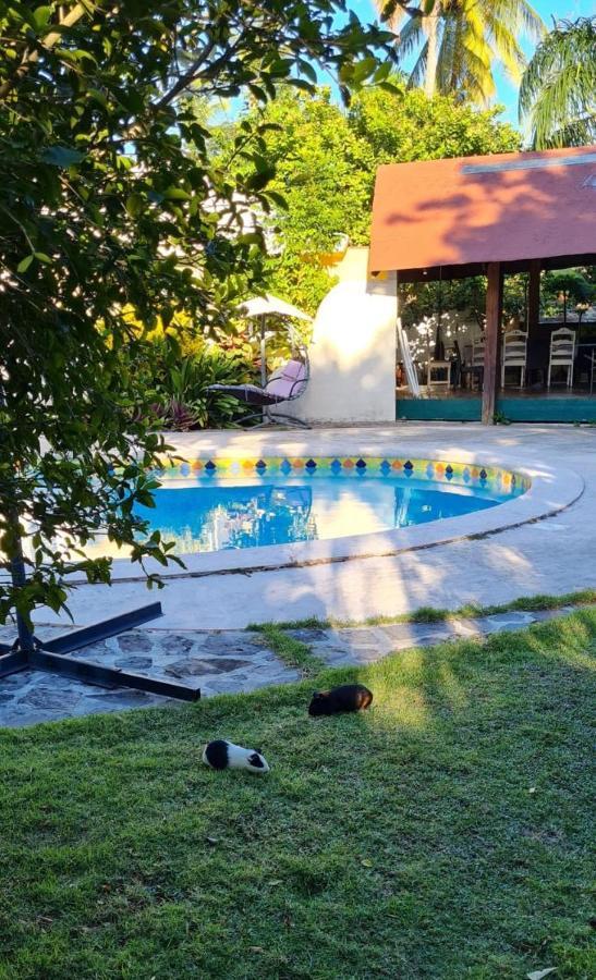 Villa Sonrisa Casa De Huespedes Las Terrenas Exterior photo